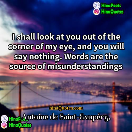Antoine de Saint-Exupéry Quotes | I shall look at you out of
